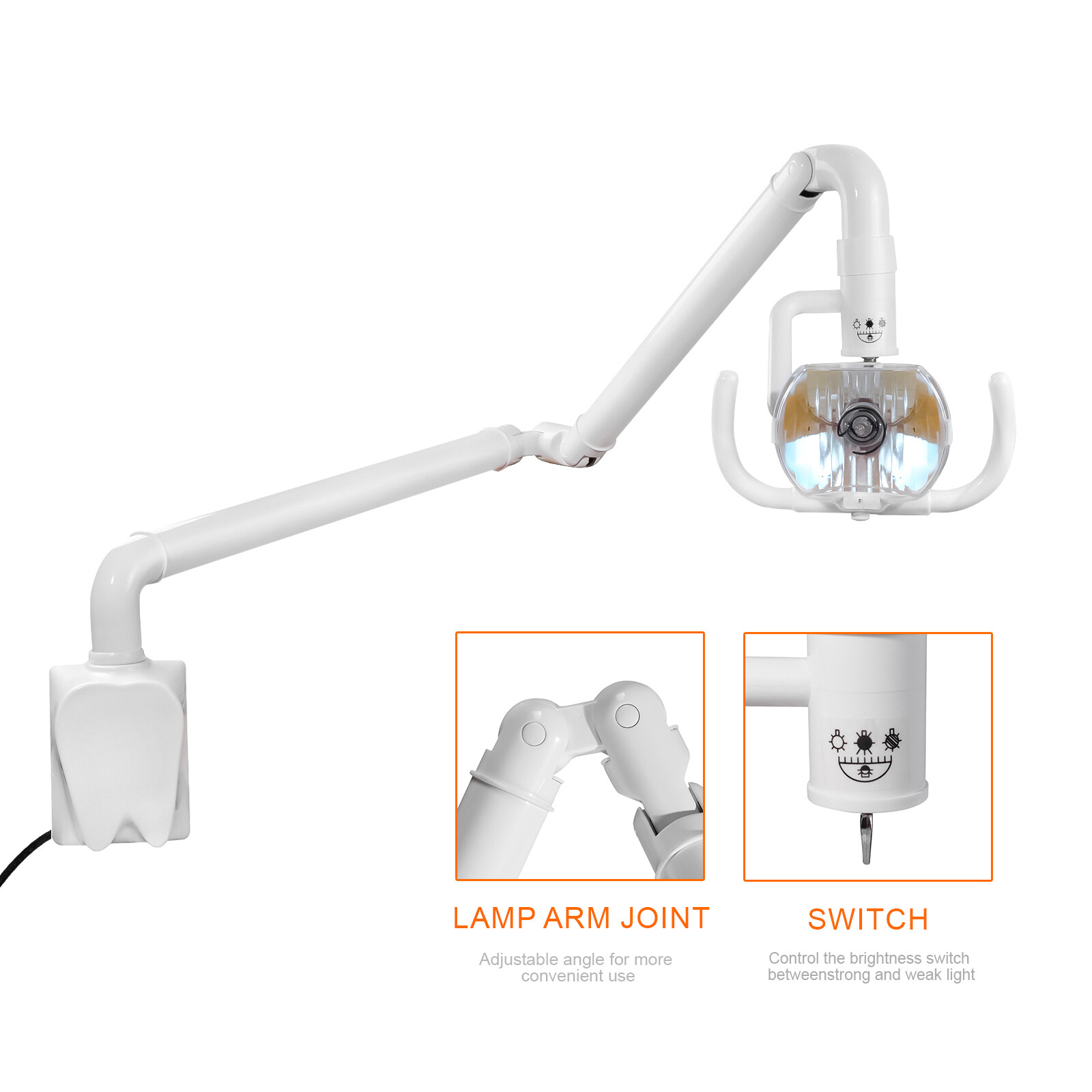 50W Wall Mounted Dental Surgical Exam Lamp Halogen Operating Oral Lamp with Arm