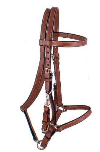 Showman Argentina Cow Leather Horse Halter Bridle Combo