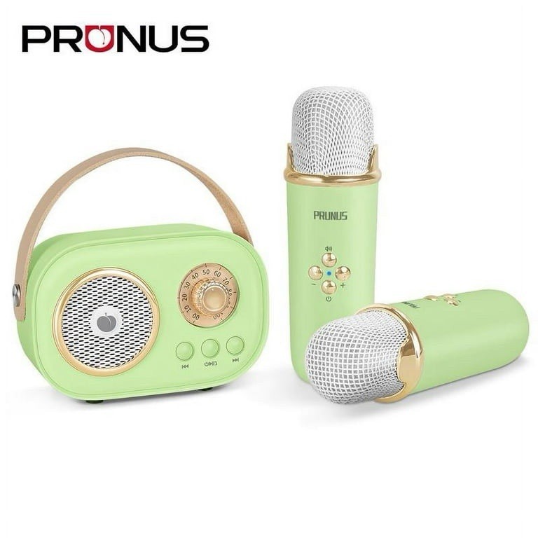 PRUNUS C20 Mini Karaoke Machine Portable Bluetooth Speaker