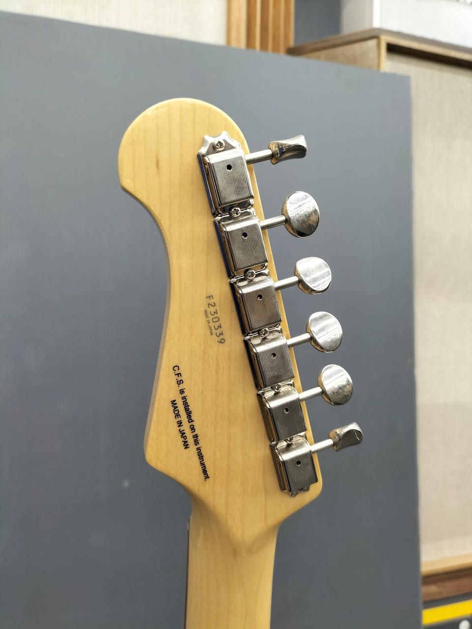 Fujigen Top Grade Tele NTE210RAH-BK Used
