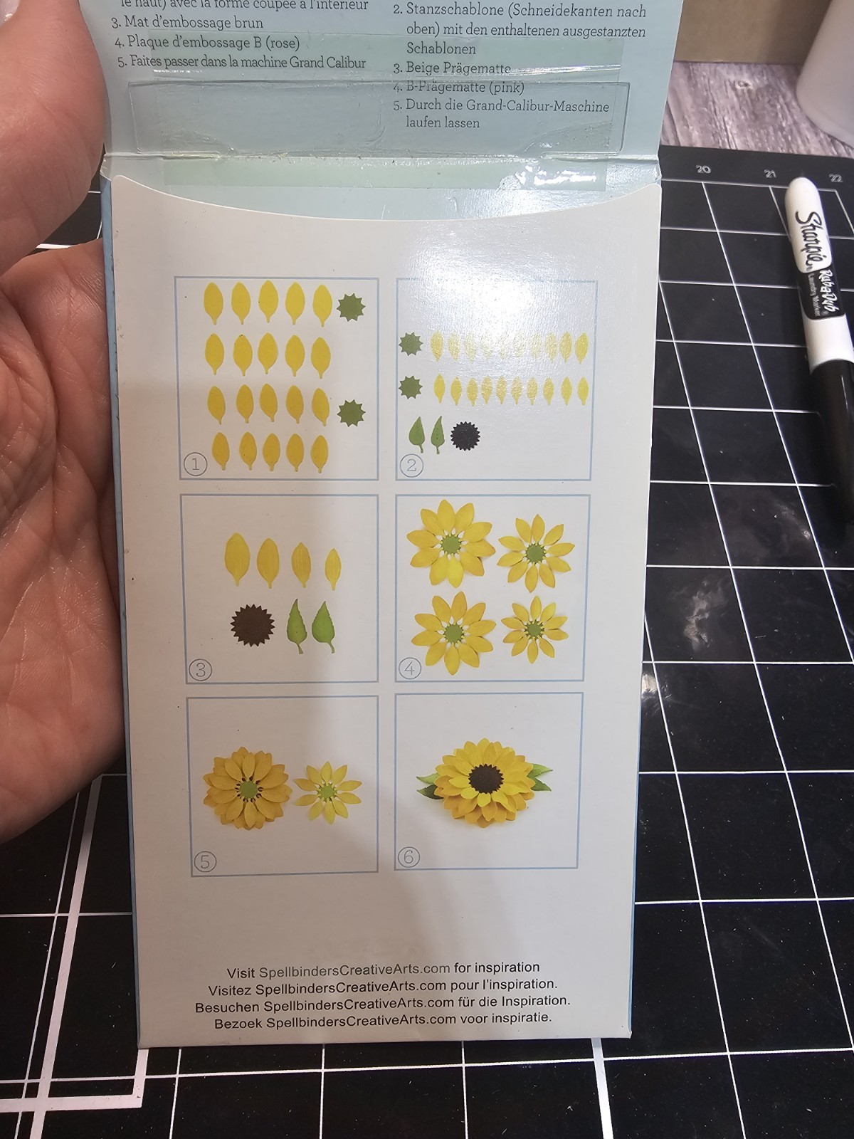 Spellbinders 5 Die D-Lites Cut Emboss Stencil CREATE A SUNFLOWER
