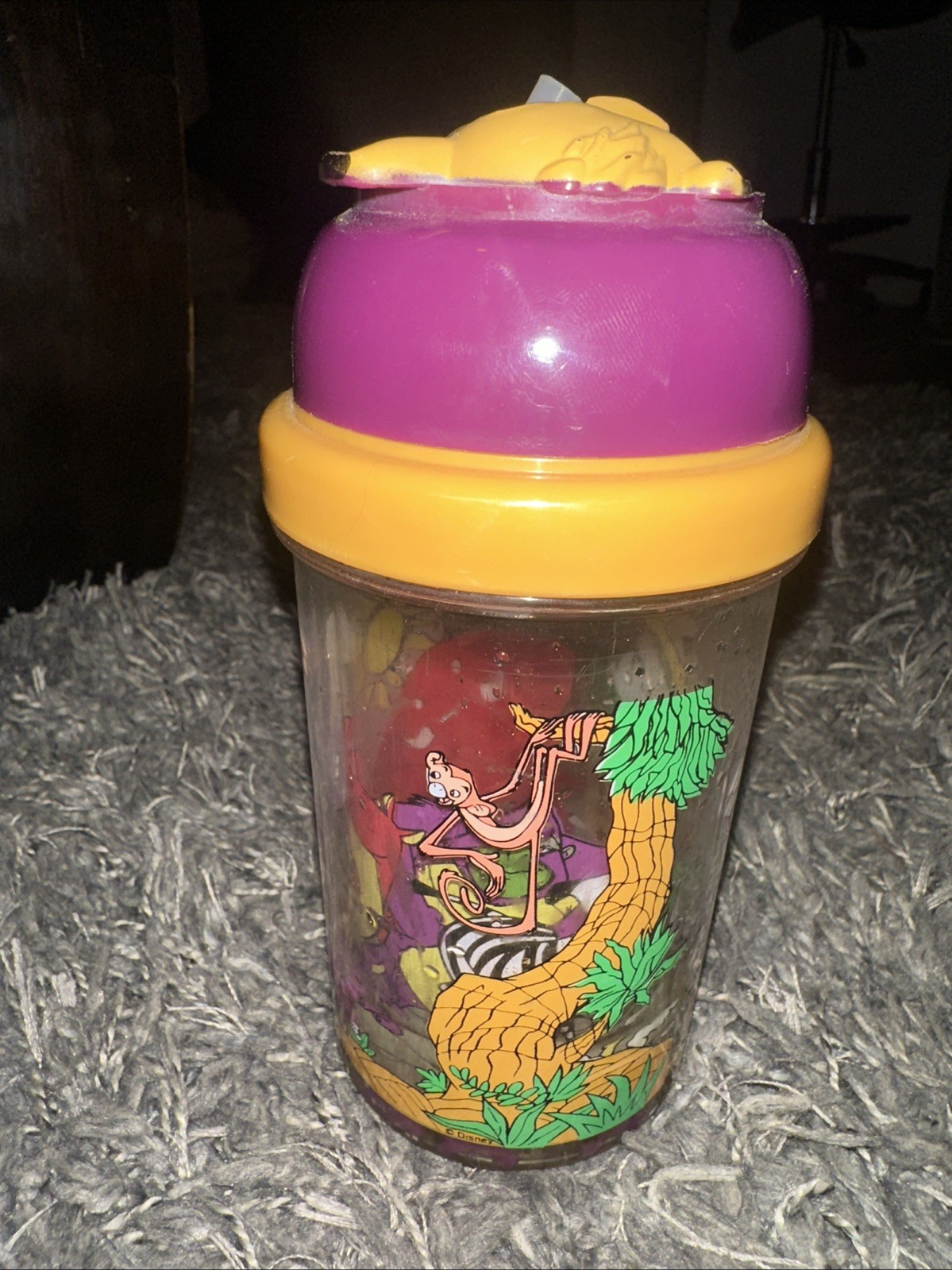 Vintage Lion King Tumbler Container