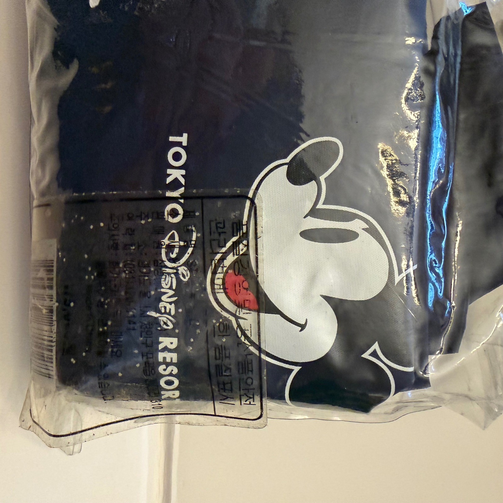 Tokyo Disney Resort Mickey Mouse Foldable Rain Poncho Bag