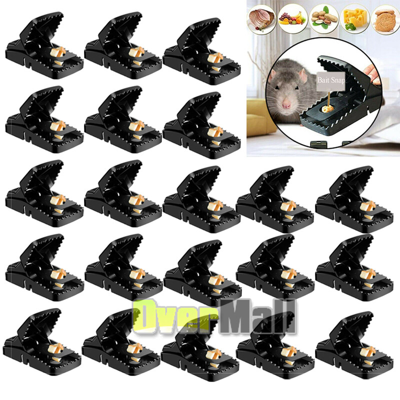 2/4/6/24 Pack Mouse Traps Rat Mice Killer Snap Trap Power Rodent Heavy Duty Pest
