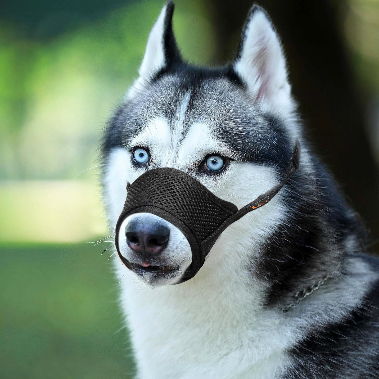 Dog Muzzle,Soft Nylon Muzzle Anti Biting Barking Chewing,Air Mesh Breathable ...