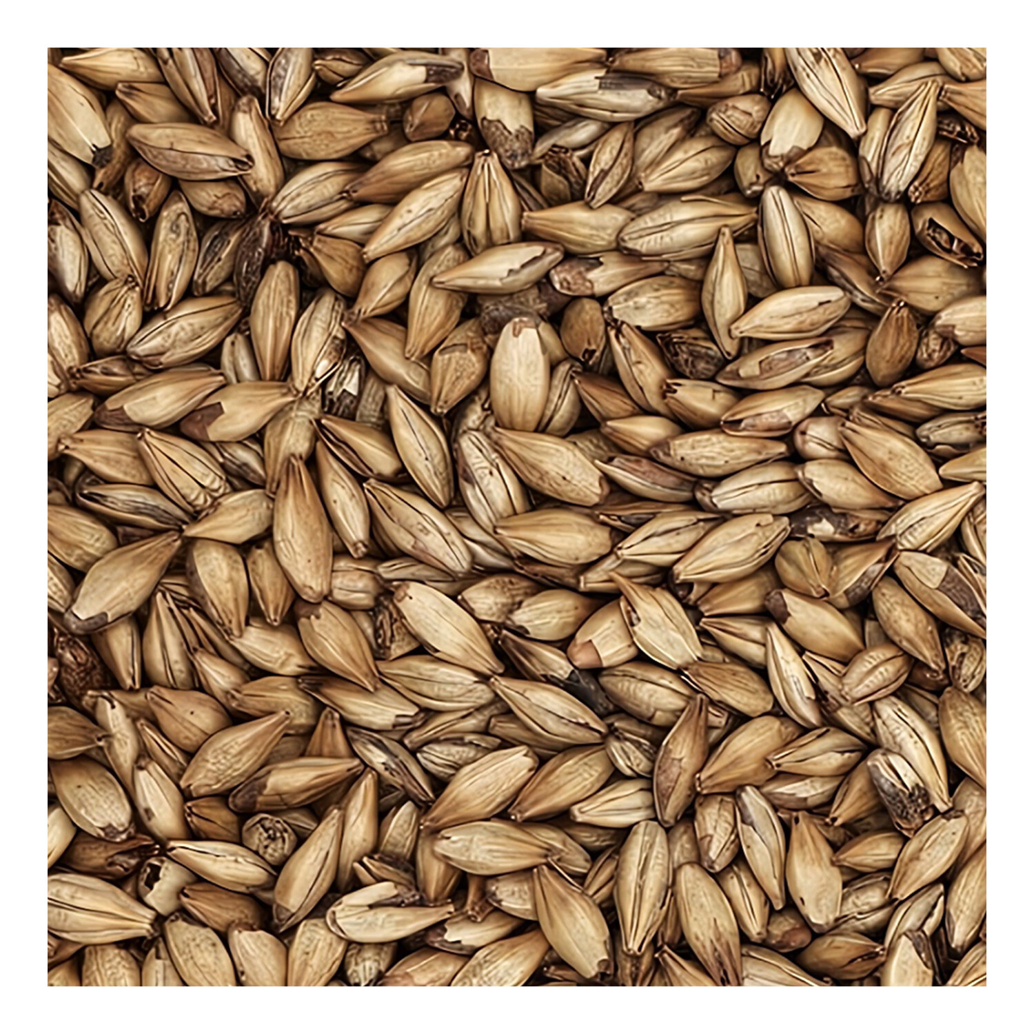 Home Brew Ohio Belge Grain 1lb