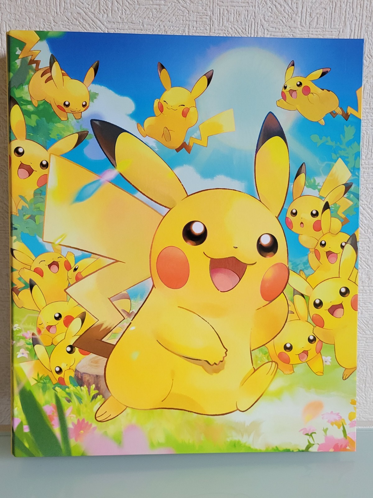 Pokemon Card Game Collection File Pikachu 10 Pocket Binder Japan New