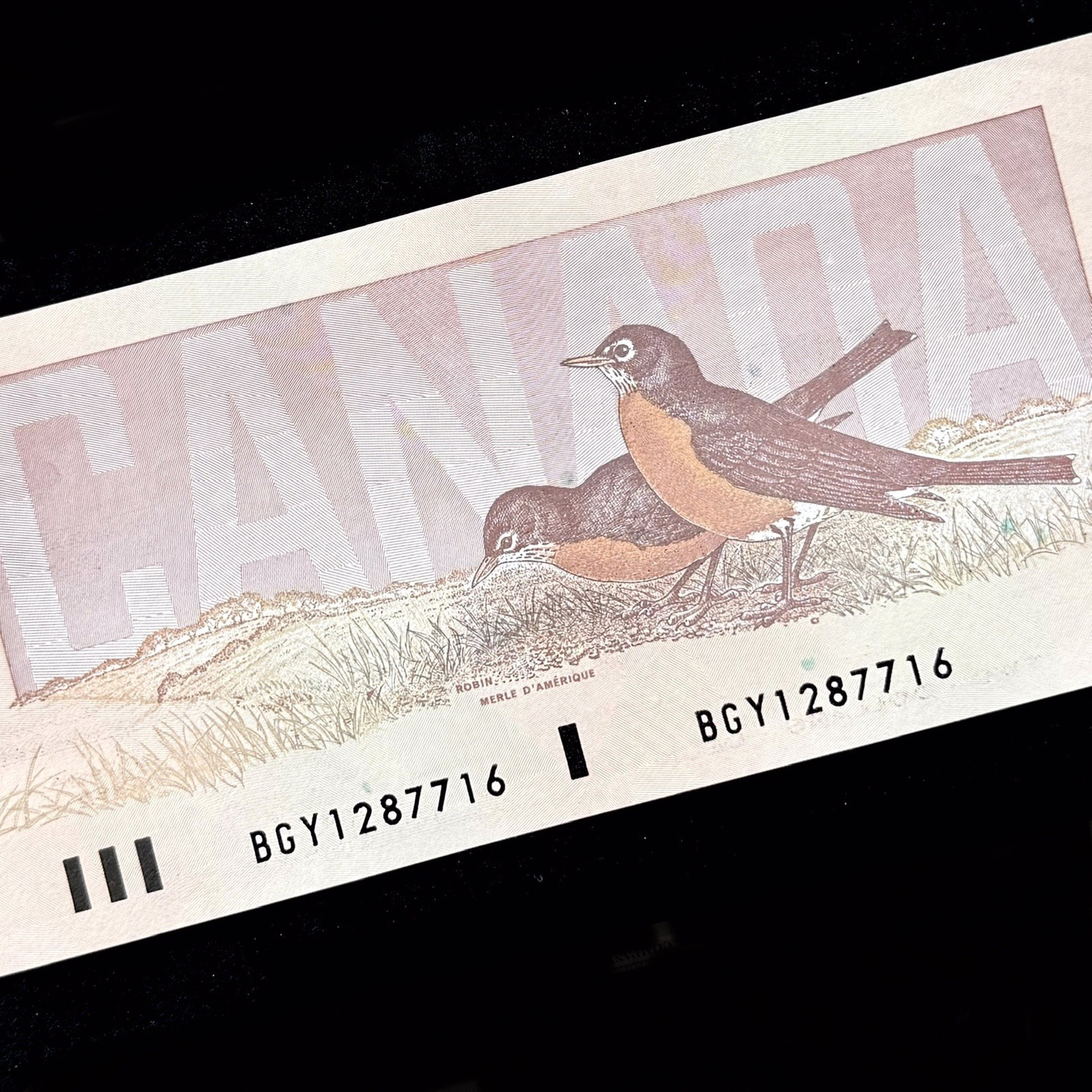 1986 Canada $2 Dollars Prefix BGY Paper Money Cash Old Banknote Currency Rare EF