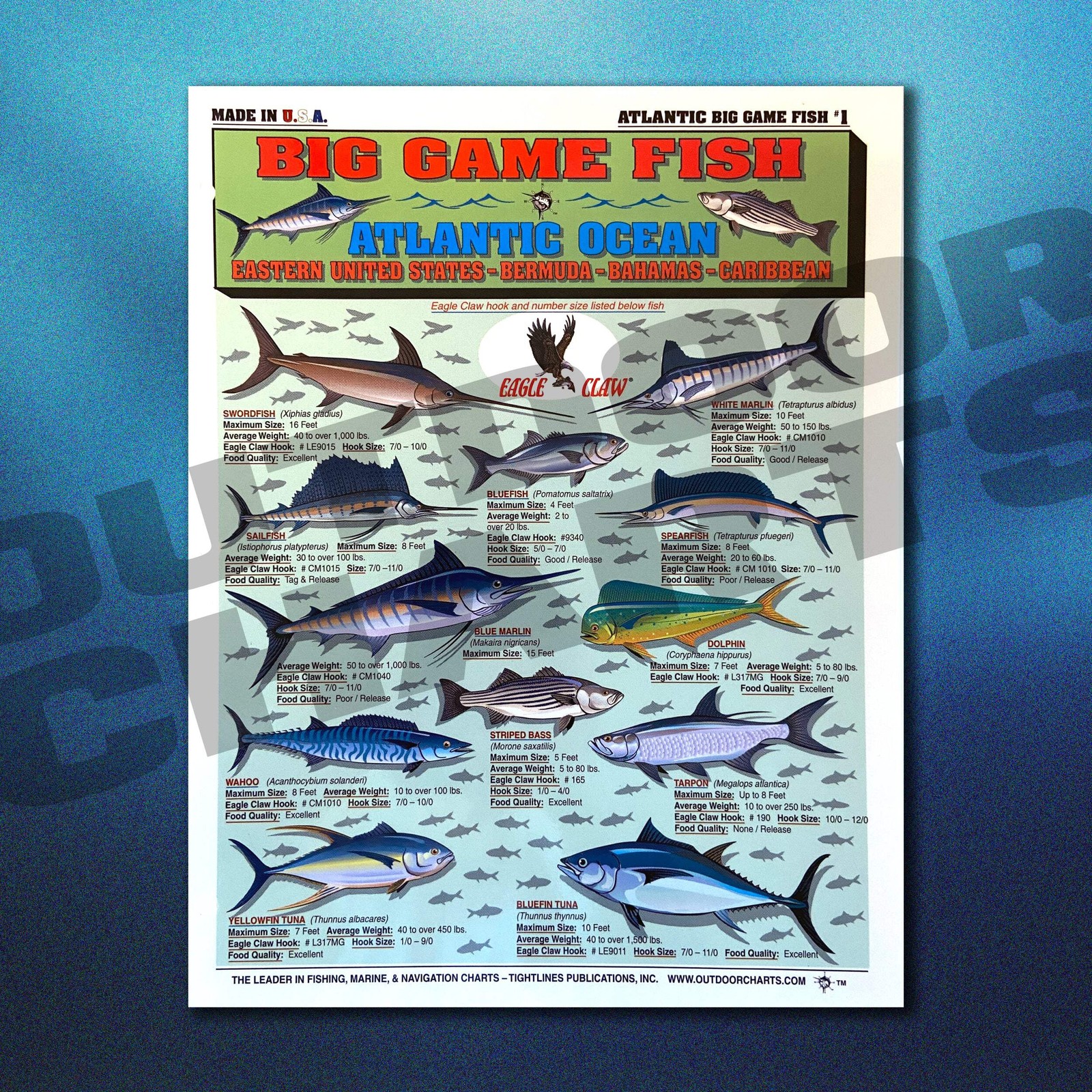 Atlantic Ocean Big Game Fish Identification #1 - Waterproof Quick Reference Guid