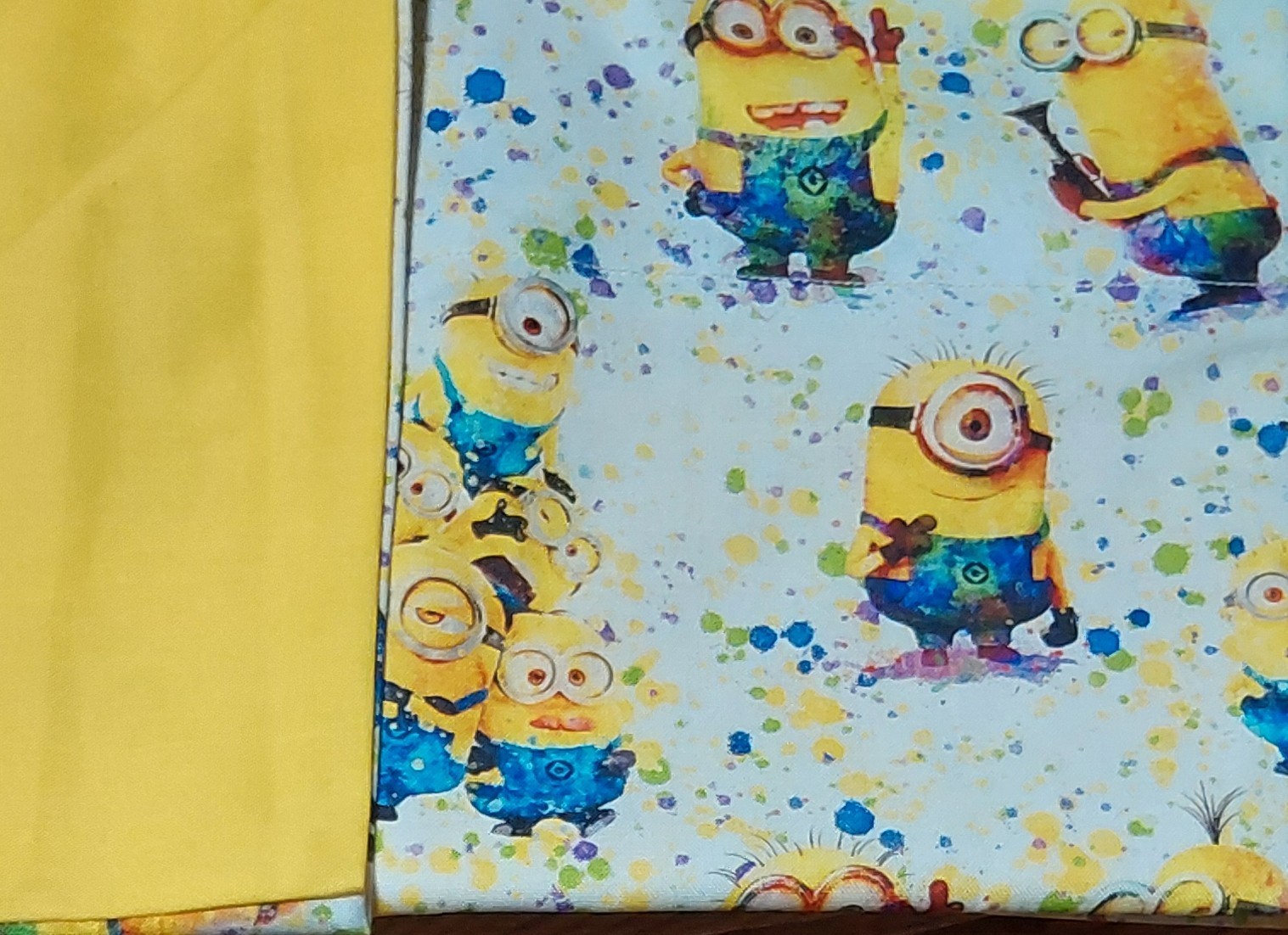 Kids Pillow Cases,  Comes With 1, Can Order Two,  Print  On Front Solid On Back
