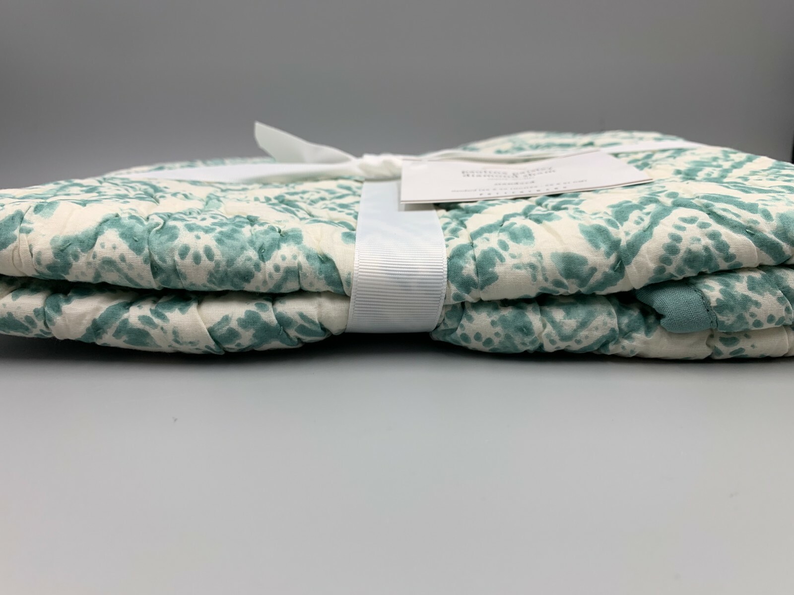Pottery Barn Paulina Paisley Diamond Sham Standard Seafoam Green #G130