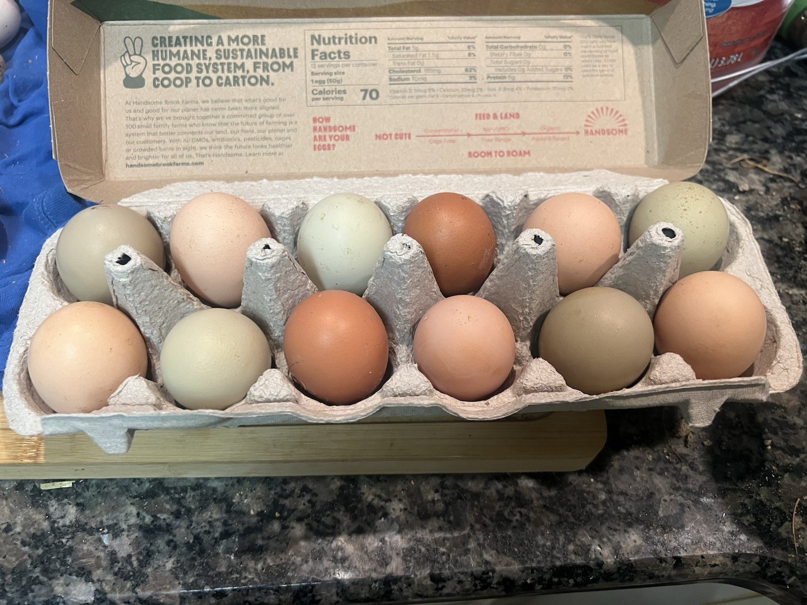Hatching Egg 12+ *RARE BREEDS* Ayam Cemani, Zombies, Lavender Orp & LAmericana