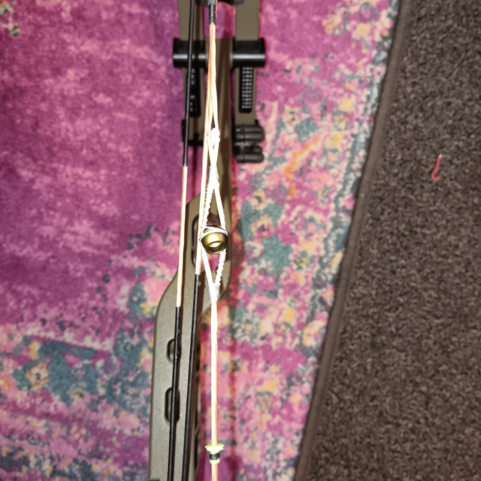 Hoyt Z1s Left Hand