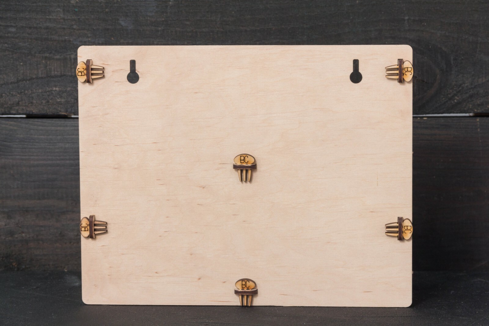 Tool Holder BeaverCraft for 10 Tools