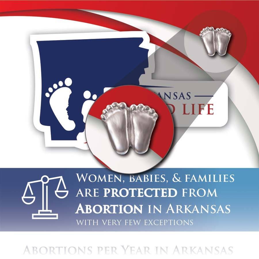 Precious Feet, Silver-Colored, Arkansas Stats Card Jewelry, Lapel Pin