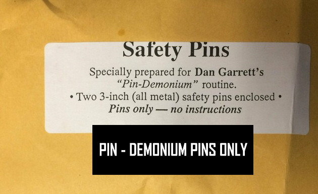 PIN-DEMONIUM  SAFETY PINS  (SET OF TWO) BY DAN GARRETT - PINS ONLY