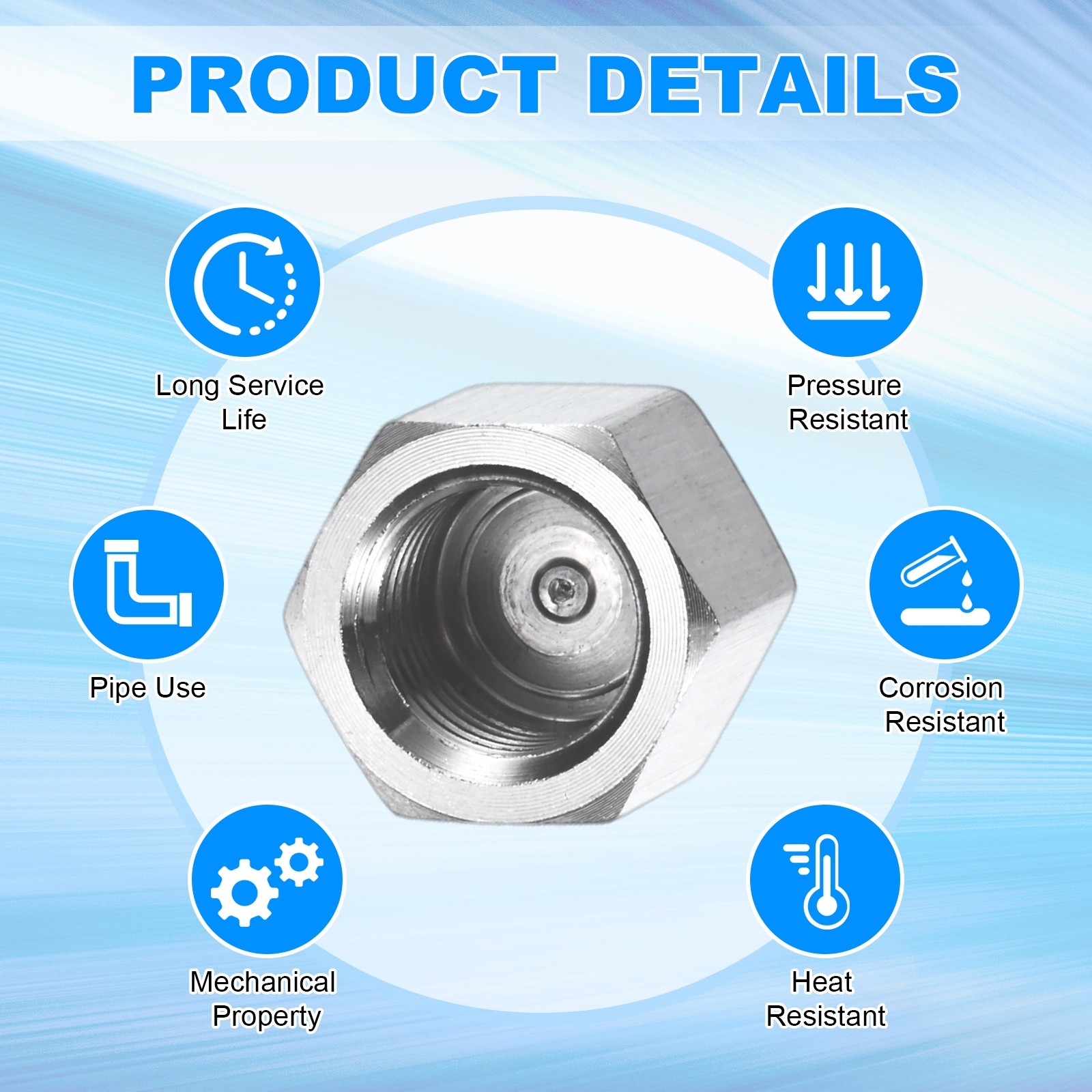 4-Pack Hex End Cap, 1/4 Inch PT Female Thread Pipe Fitting
