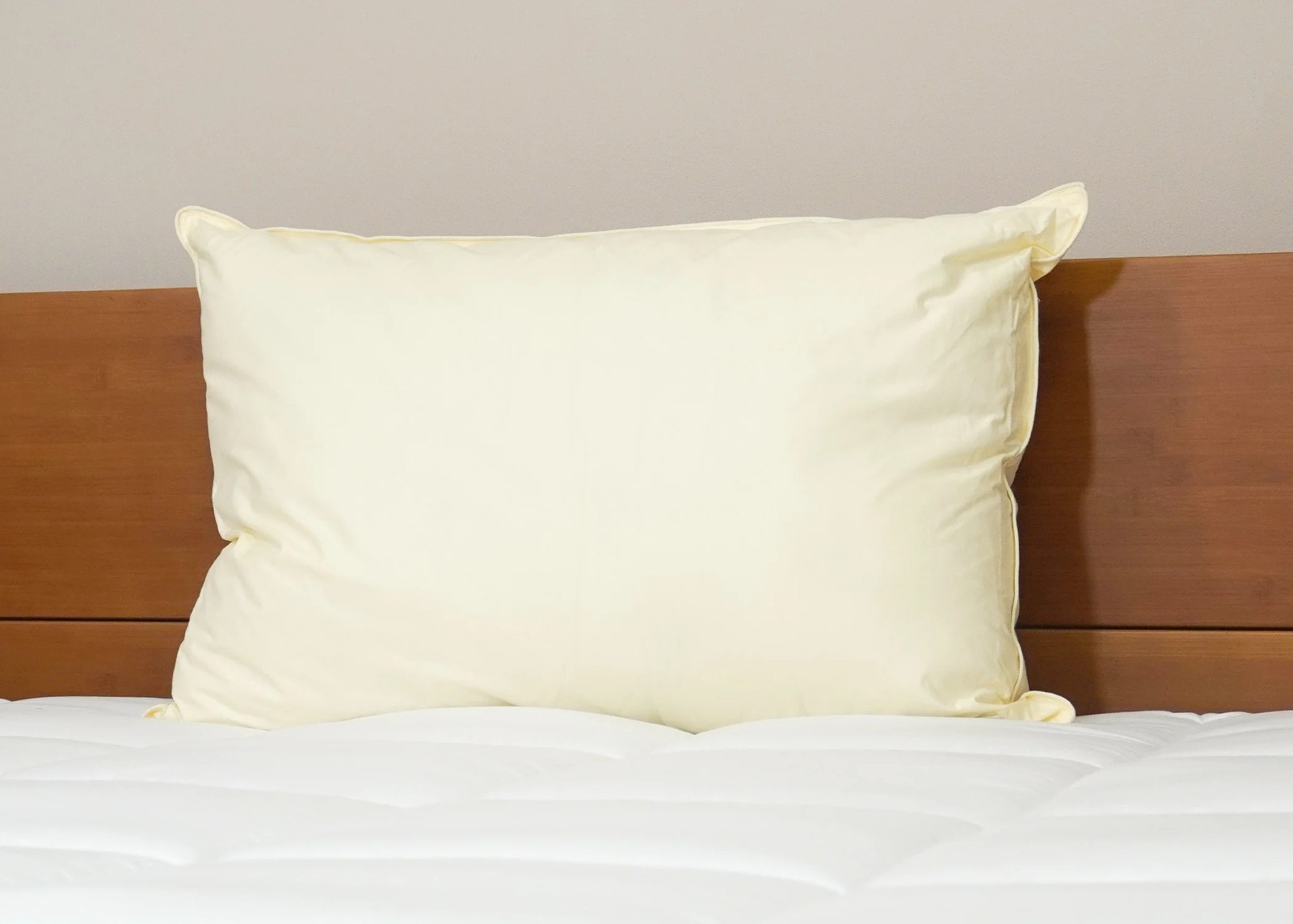 Down Etc. Aquaplush Pillow