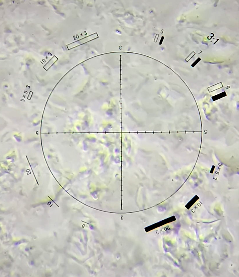 Professional Asbestos PCM NIOSH 7400 Phase Contrast Microscope Walton Beckett