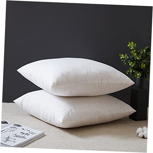 Down Feather Throw Pillow Inserts 20x20 Set of 2 20 x 20" 2 Count（Pack of 1）