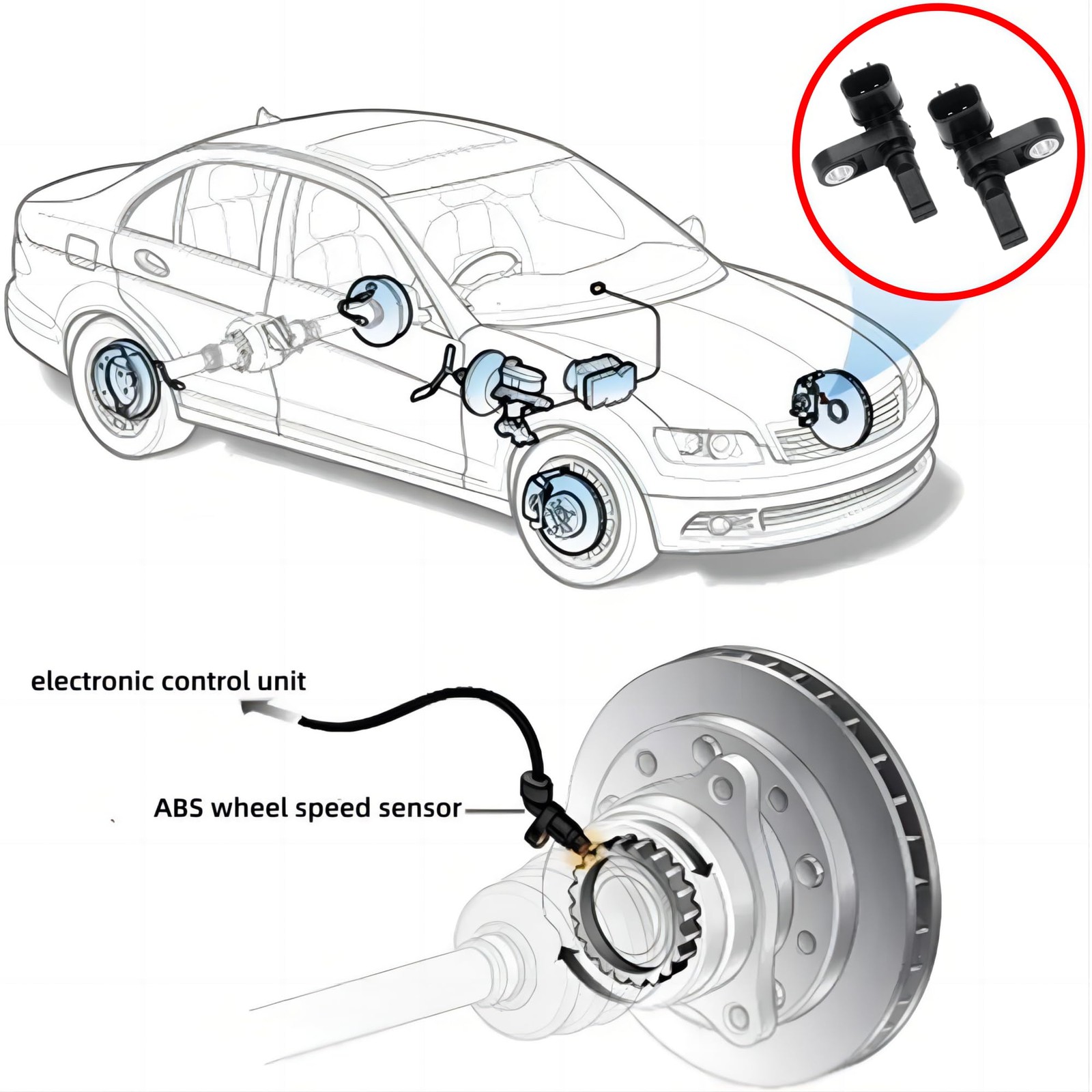ABS Wheel Speed Sensor - 2003-2019 Toyota/Lexus, 89542-04020+89543-04020