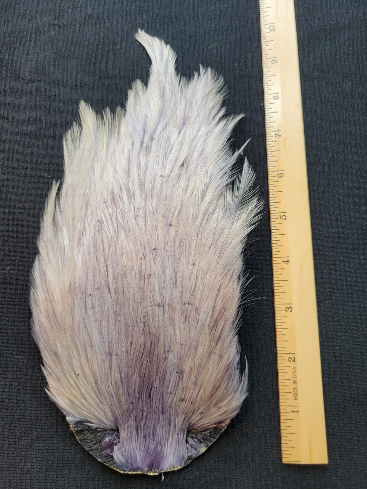 Lot 511, Dyed BLUE DUN India Rooster Streamer Neck Cape Feathers Tying