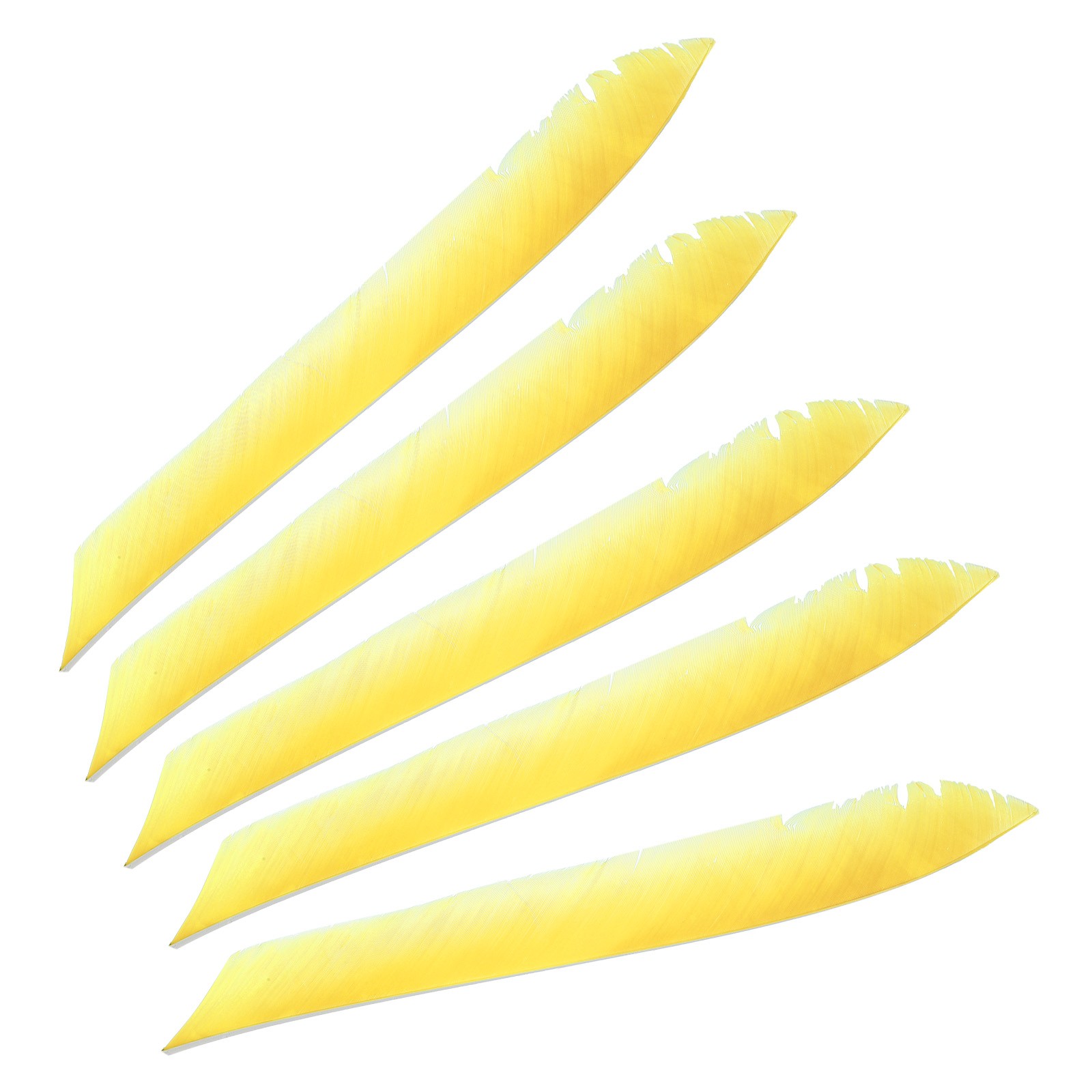 50pcs Arrows Vanes 11 Inch Turkey Feather Arrow Fletching Left Wing, Yellow