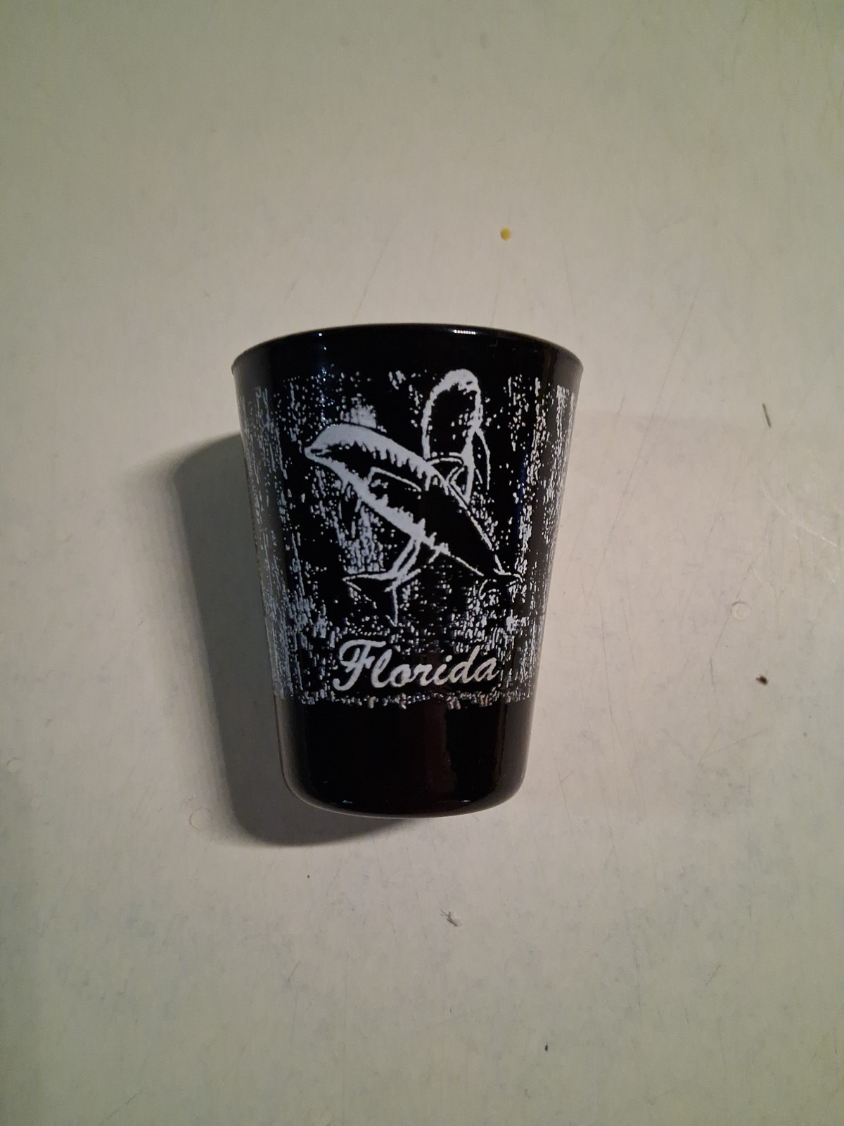 Black Florida State Souvenir Shot Glass