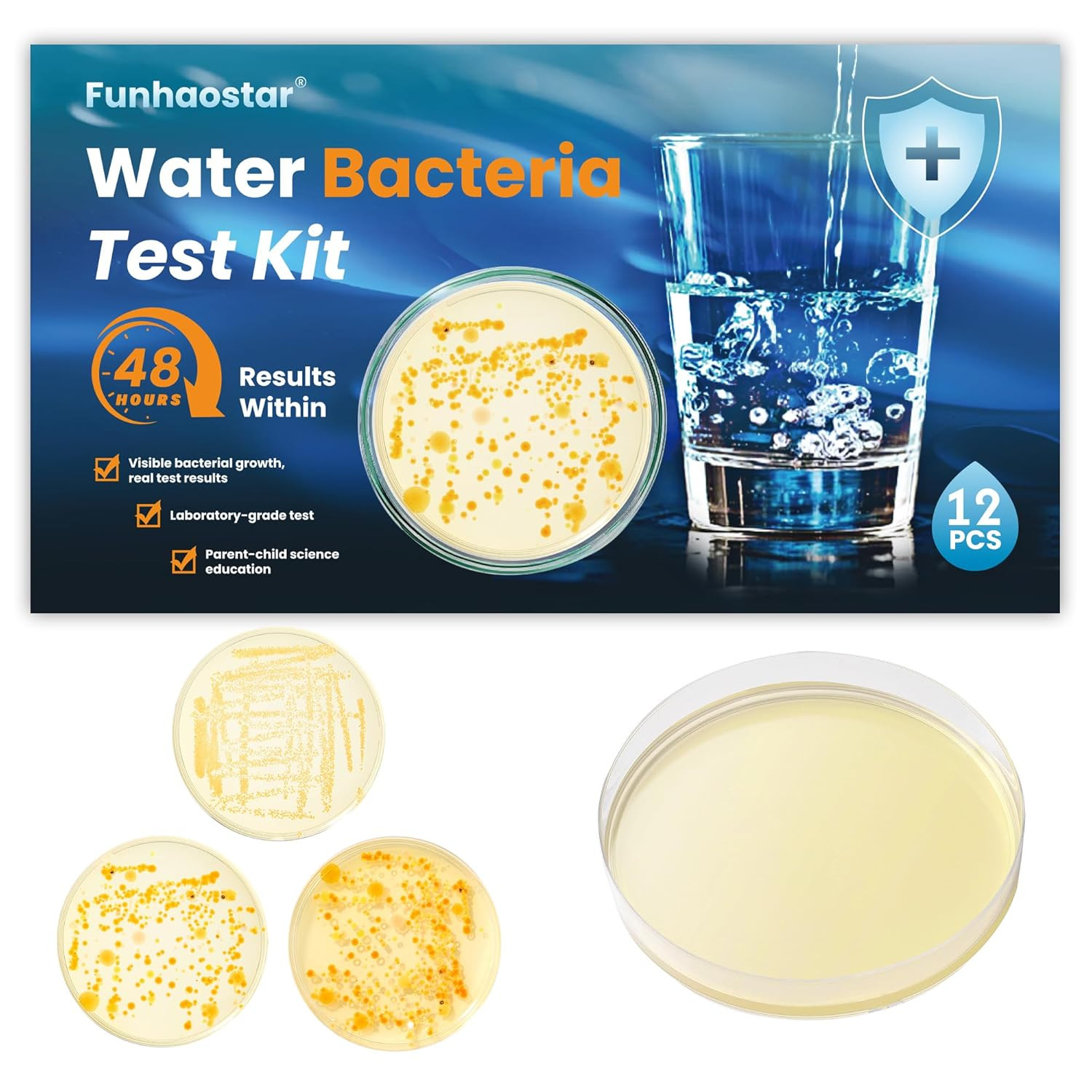 Bacteria Test Kits for Drinking Water - 12 Tests Detect Coliform, E.Coli & All B