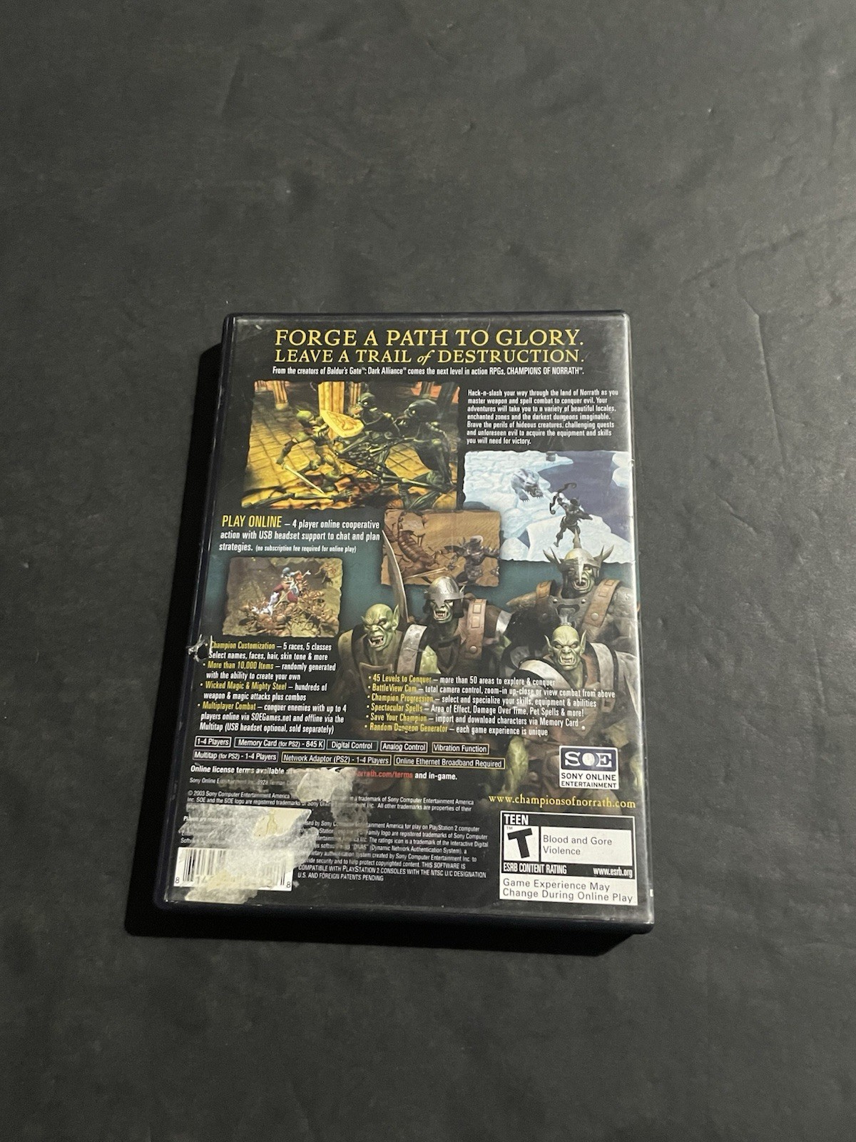 champions of norrath ps2 case only