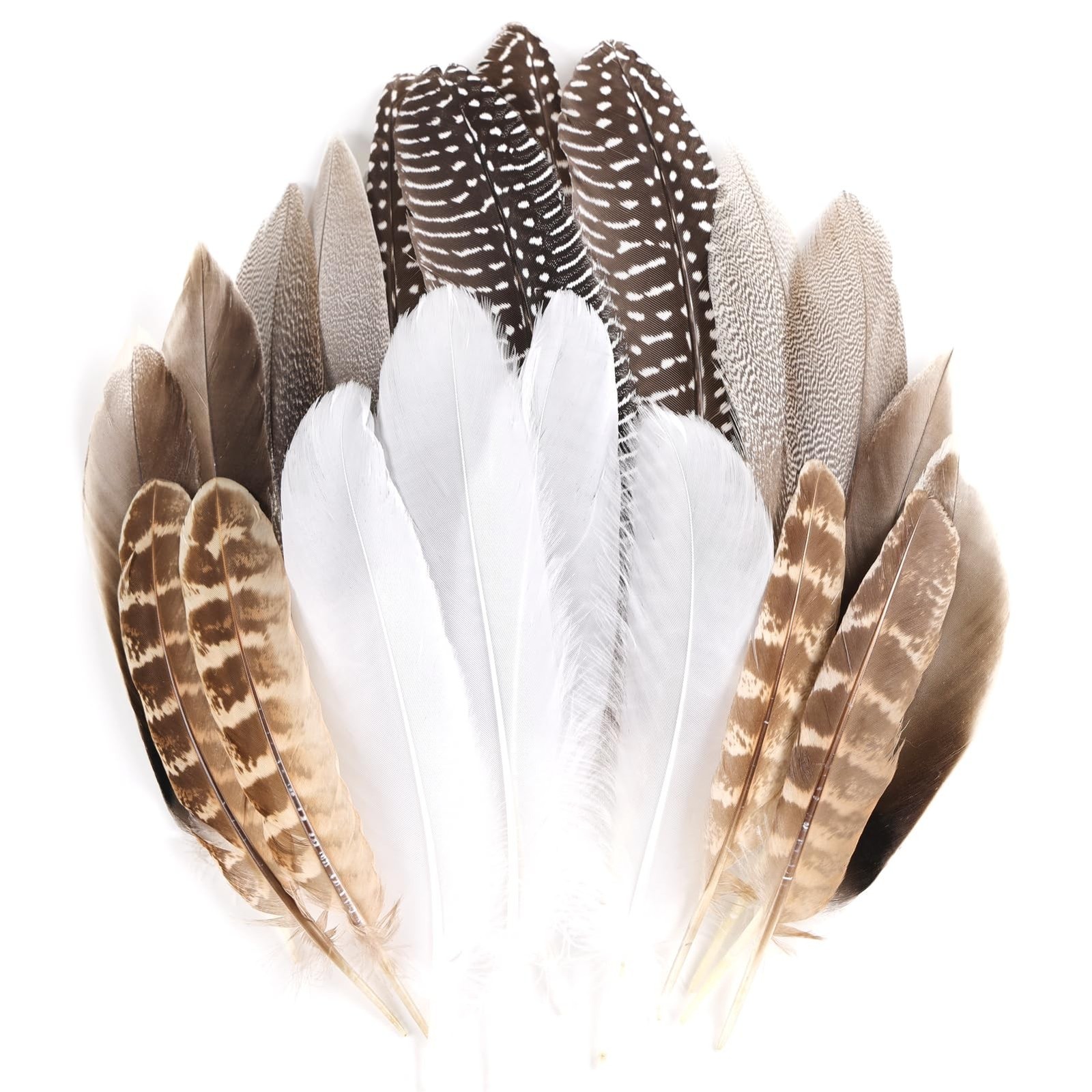 MAOFENG 20pcs Natural Pheasant Feathers Bulk 5 Styles Mixed Feathers Spotted ...