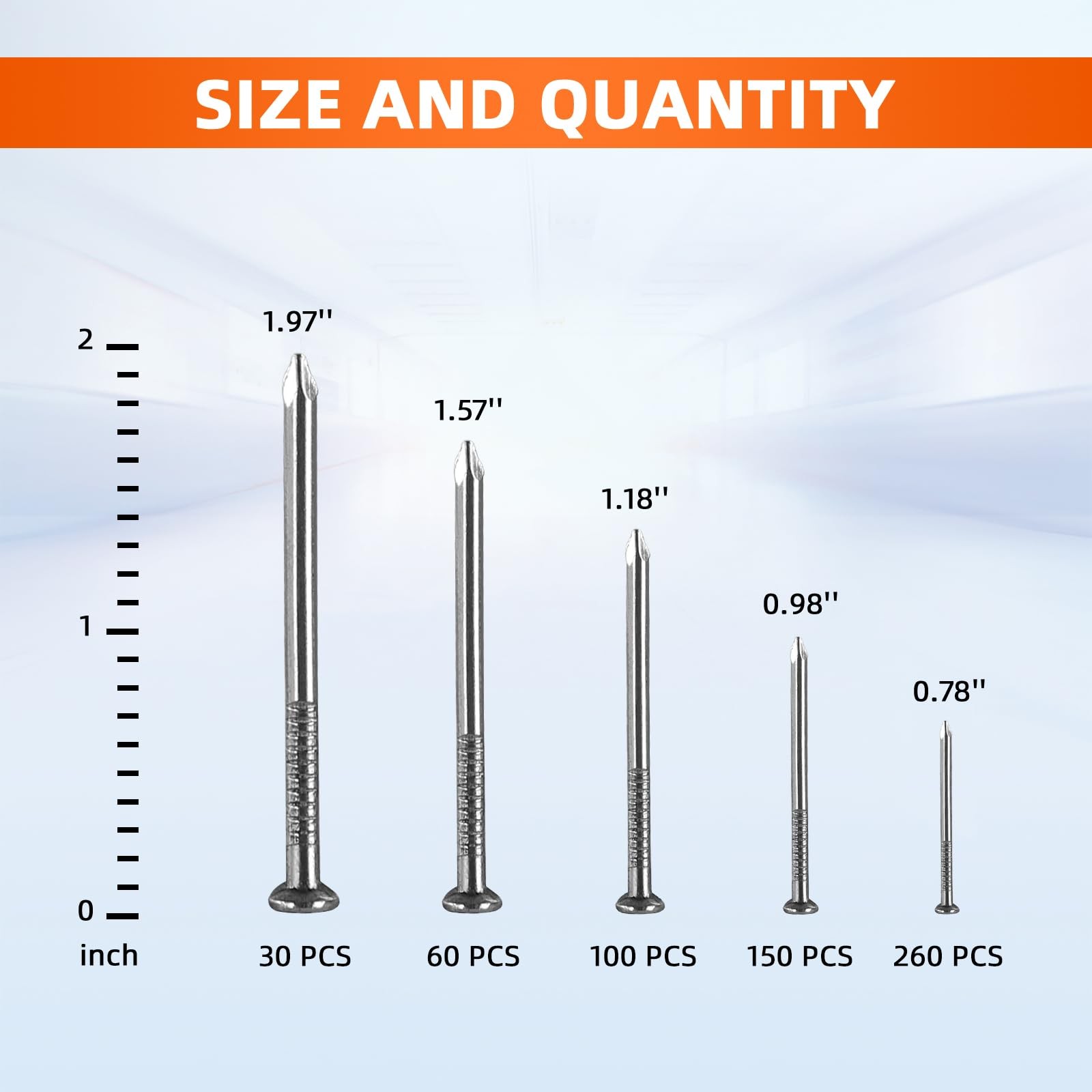 5 Sizes Hardware Nails Assortment Kit, Flat for Picture Wall Silver