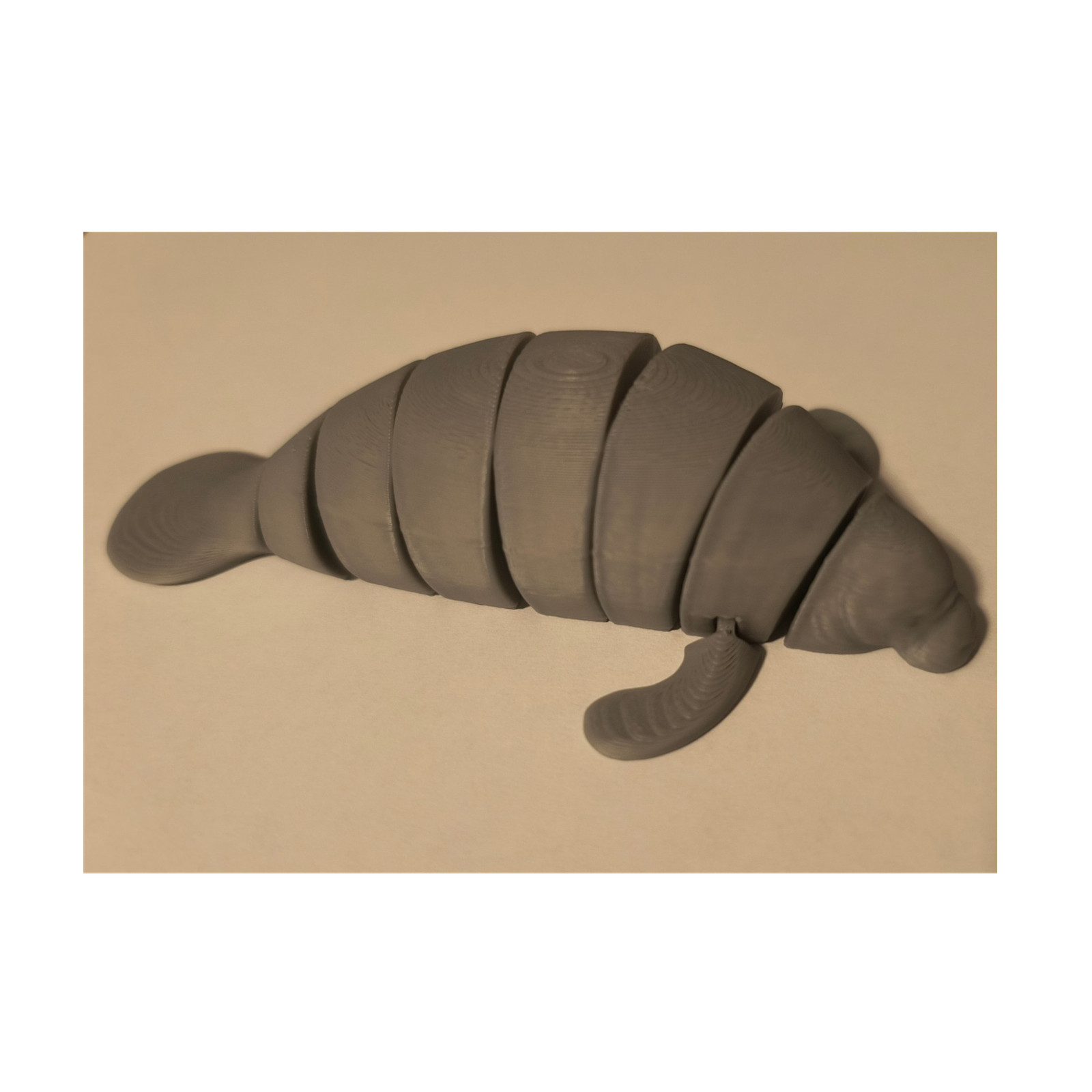 3d printed Segmented Manatee Educational Toy Gray