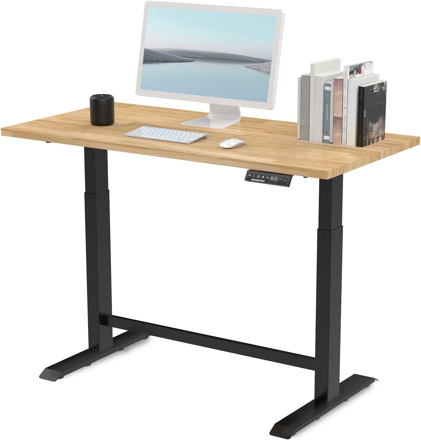 48" Electric Standing Desk, Height Adjustable with 48"x24" Wooden Top&Dual Motor