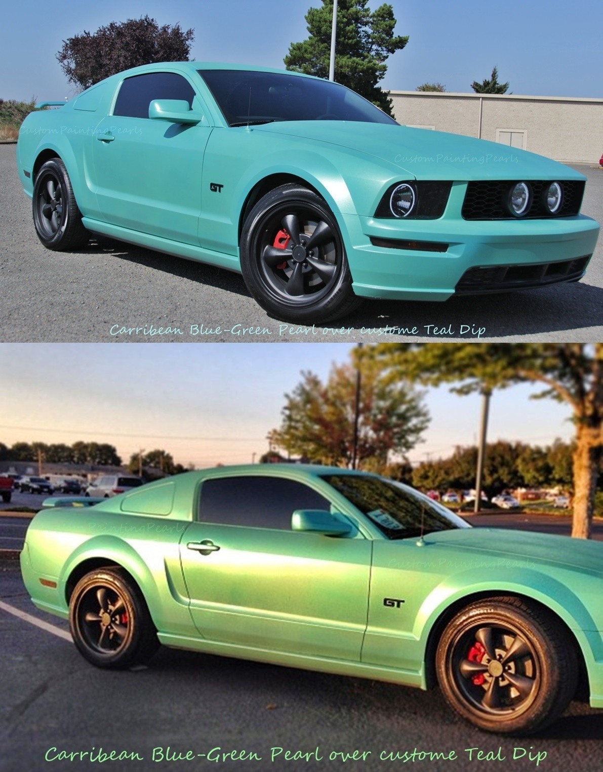 25g Chameleon Kameleon Flip Shift Pearl Caribbean Blue-Green candy custom paint