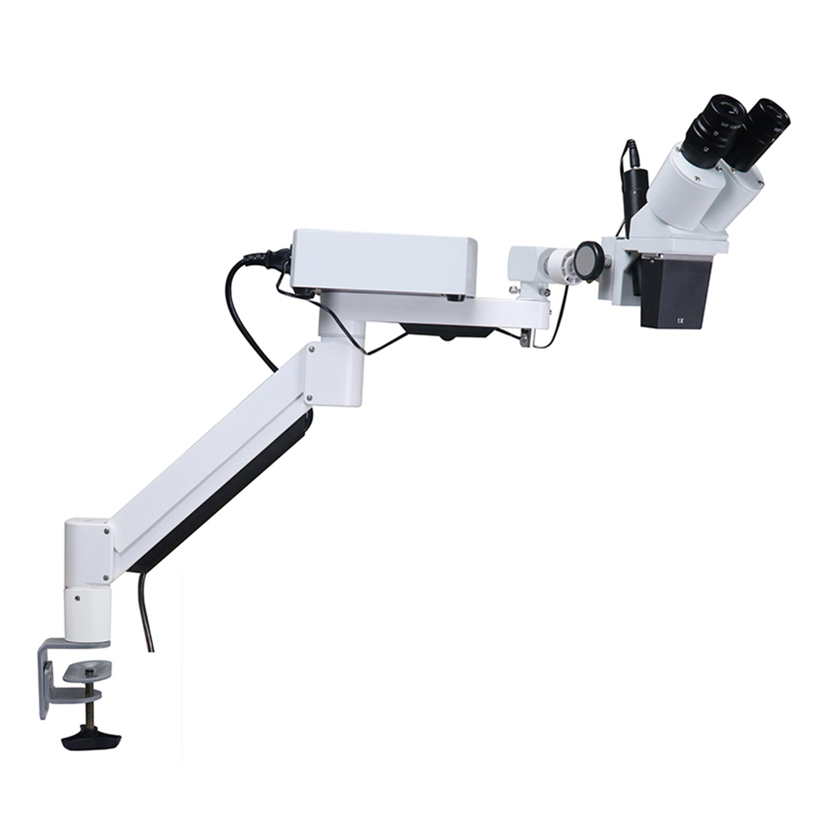 Desktop 10X Dental Stereo Binocular Microscope Surgical Root Canal Microscopes