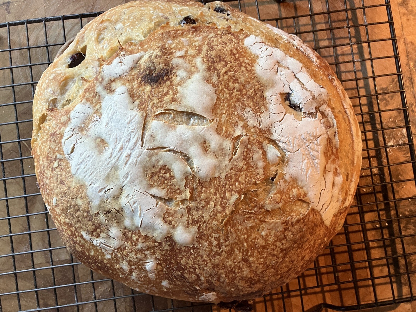Active Dried Sourdough Starter San Francisco Yeast Bacteria baking bread