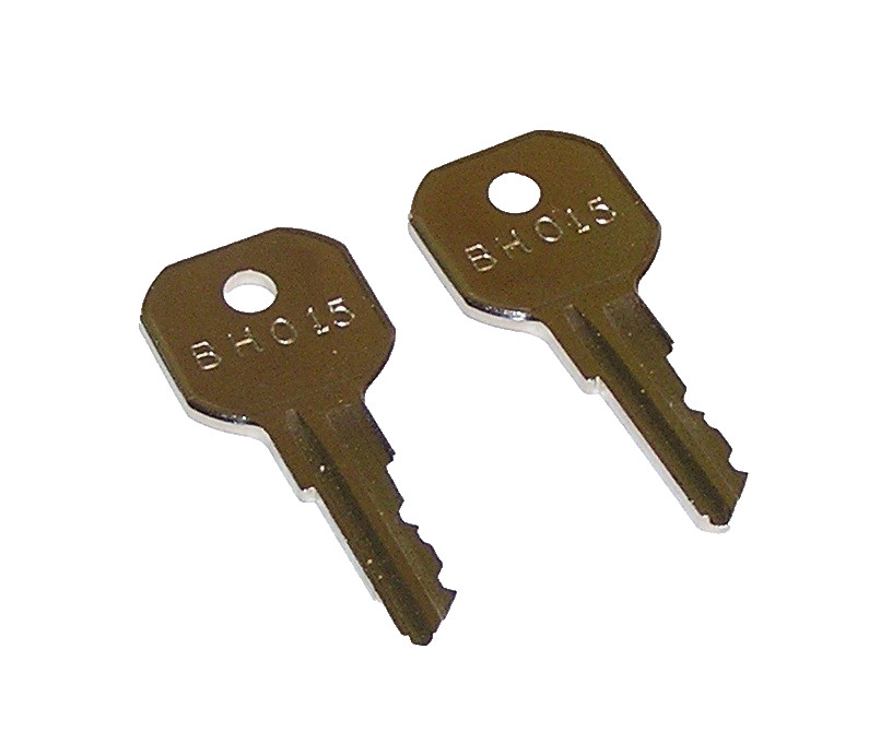 2 - BH015 Keys fit Delfield, Kolpak Food Service Equipment, Interlogix Security