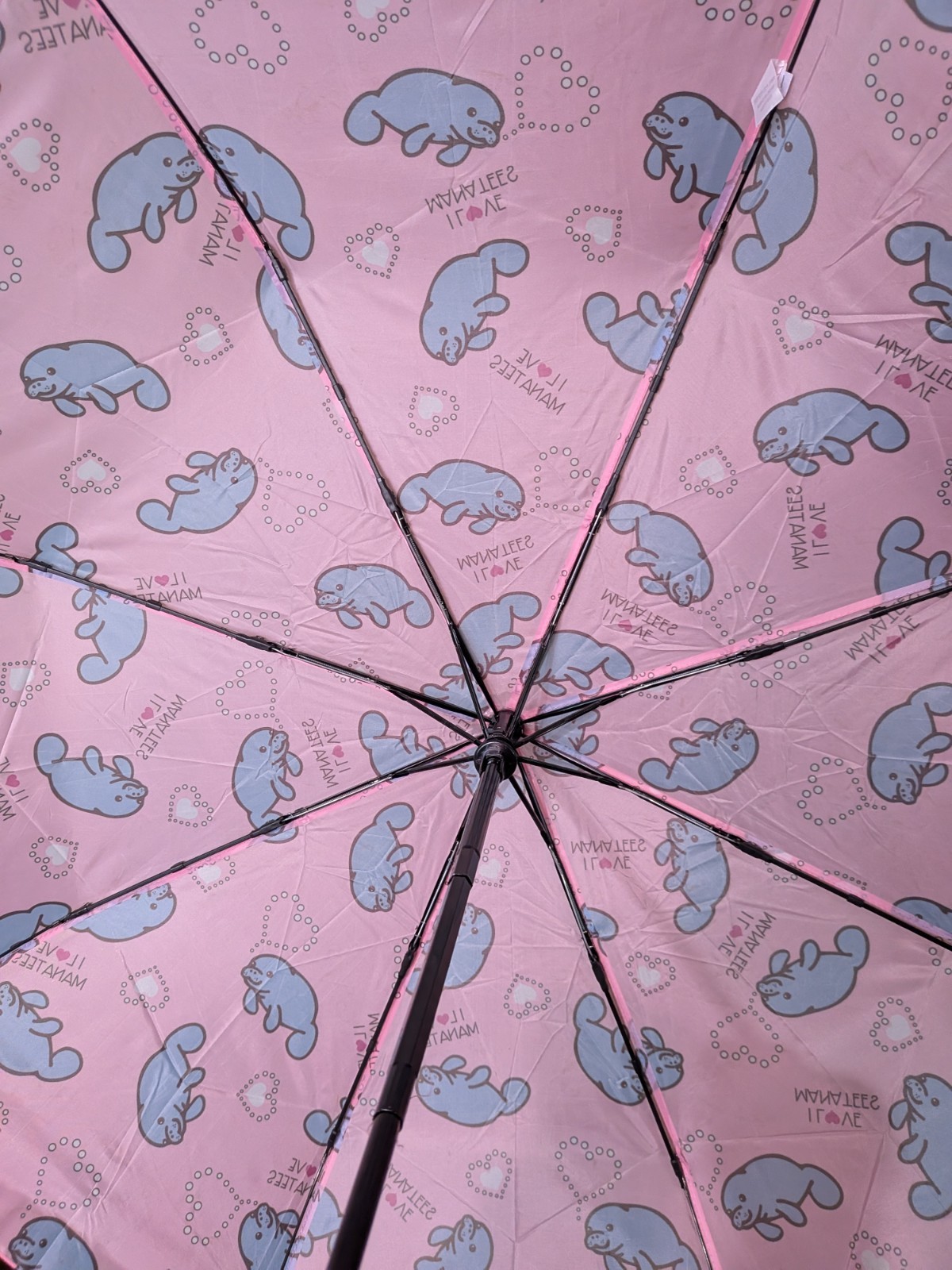 Chubby Mermaids Pink Manatee Folding Umbrella NWT