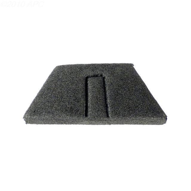Foam