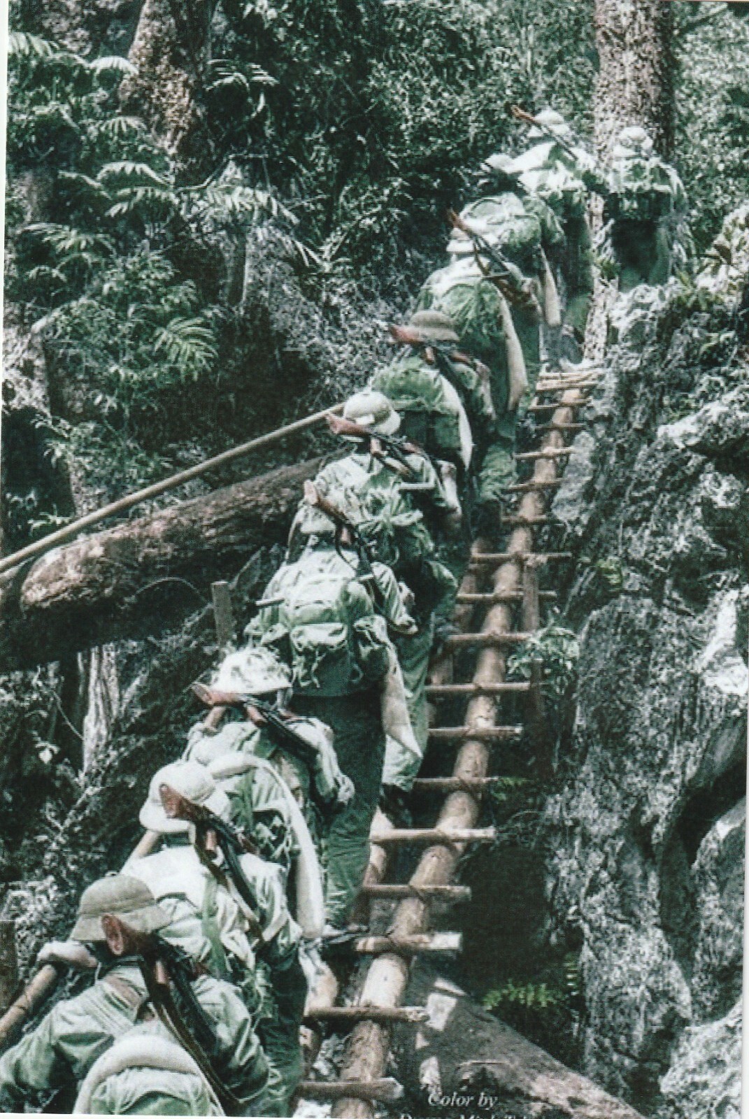 Vietnam  War  Photos --  North Vietnam Soldiers Moving though Jungle