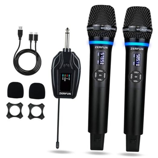 Dual Wireless Microphones Rechargeable, UHF Metal Wireless Mic System WM-2 C