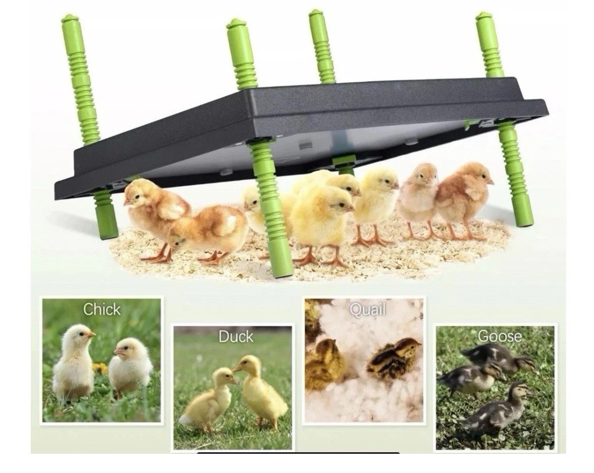 🔥12"X16" Chick Brooder Heater Plate, Brooder Plate for Chicks w/ Adjustable Hei