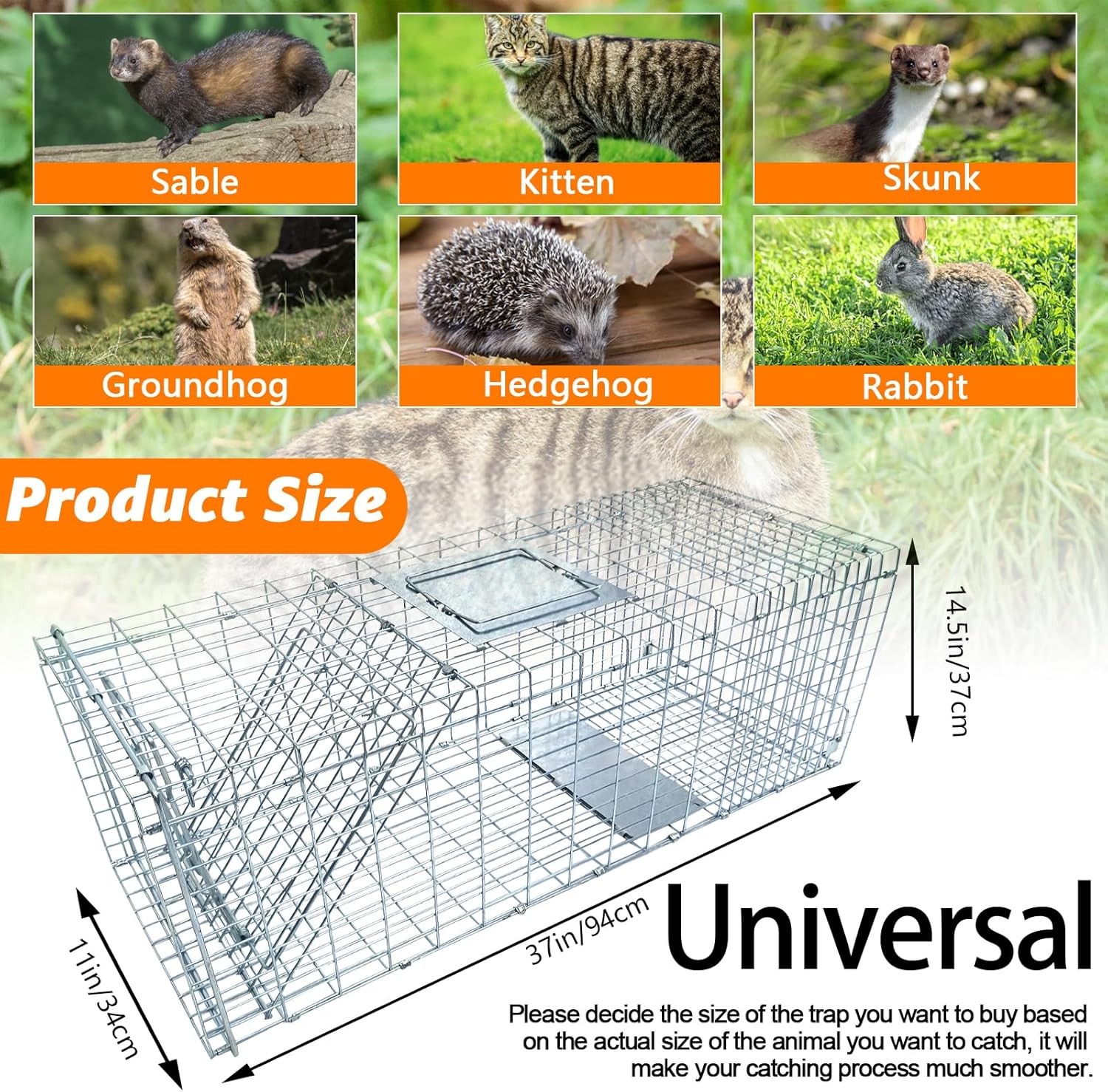 Live Animal Trap Cage, Foldable 37“ Humane Live Trap Cage for Foxes, Coyotes