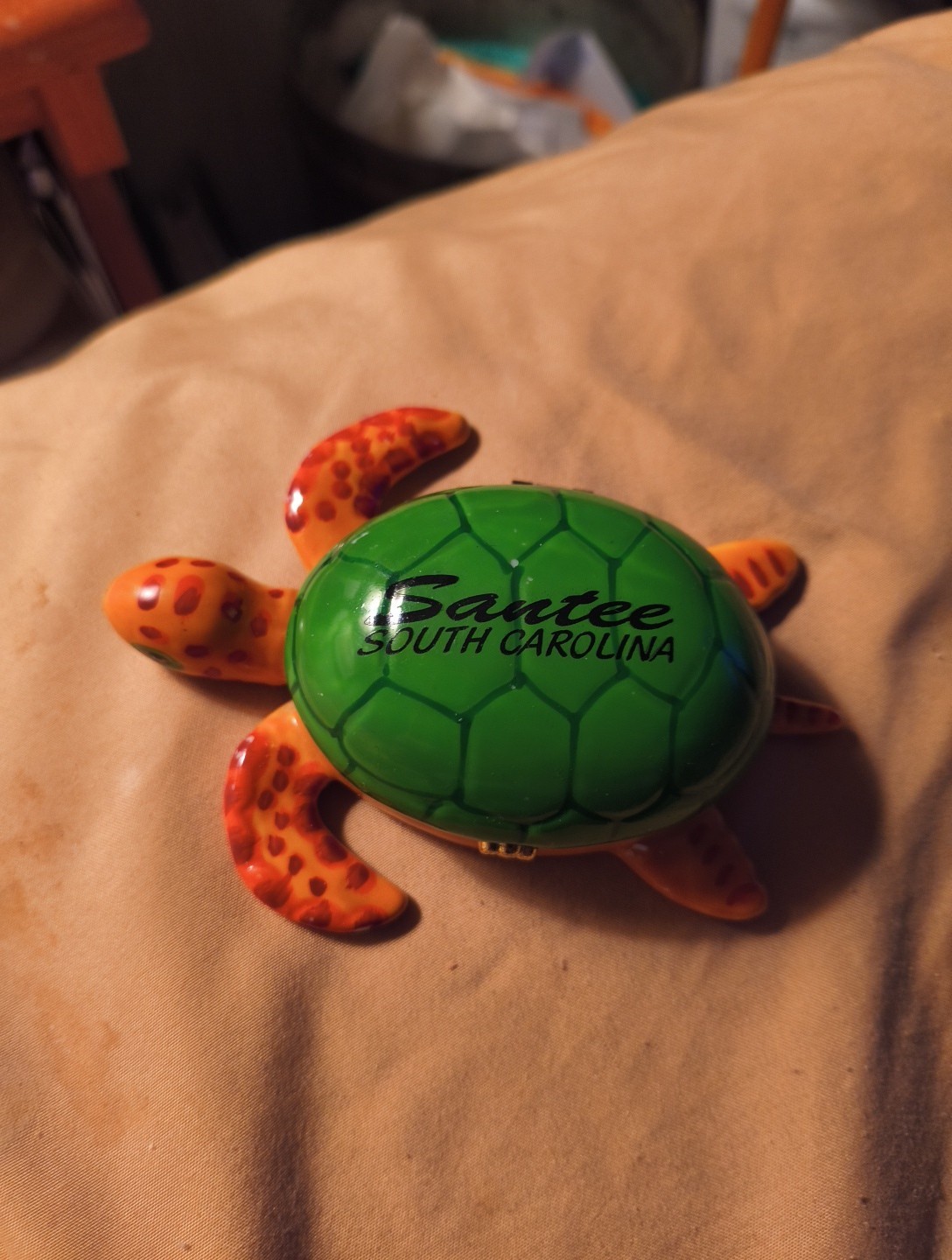 Turtle Trinket Box Santee South Carolina