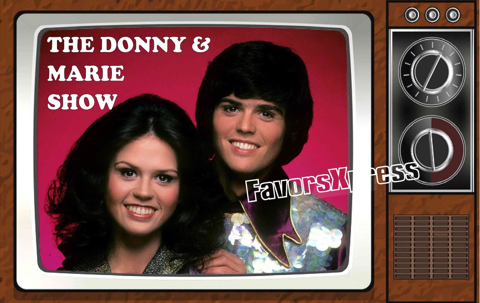 The Donnie and Marie Show Classic TV Show PHOTO MAGNET 4 X 2.5 INCHES