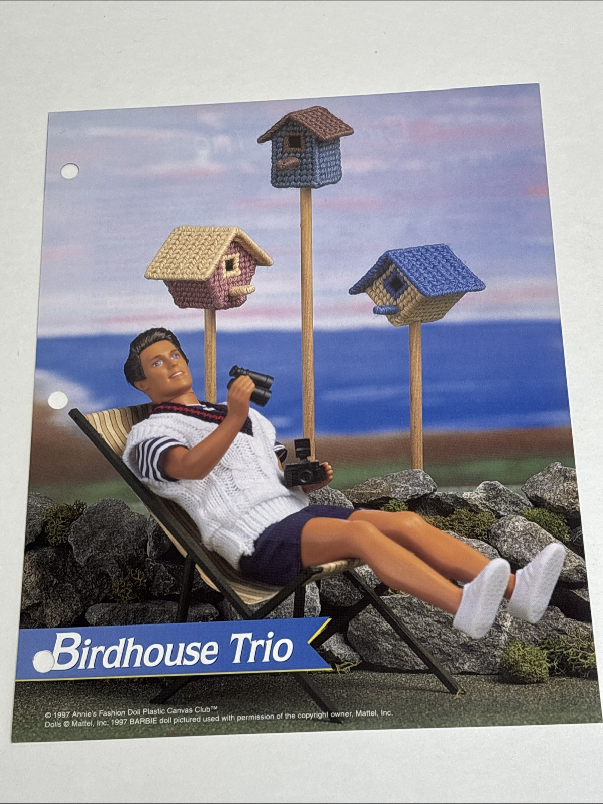 Birdhouse Trio Annie's Attic Fashion Doll Plastic Canvas Pattern Page