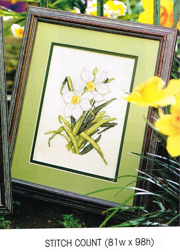 WHITE NARCISSUS  CROSS STITCH PATTERN  ONLY  -  Y13