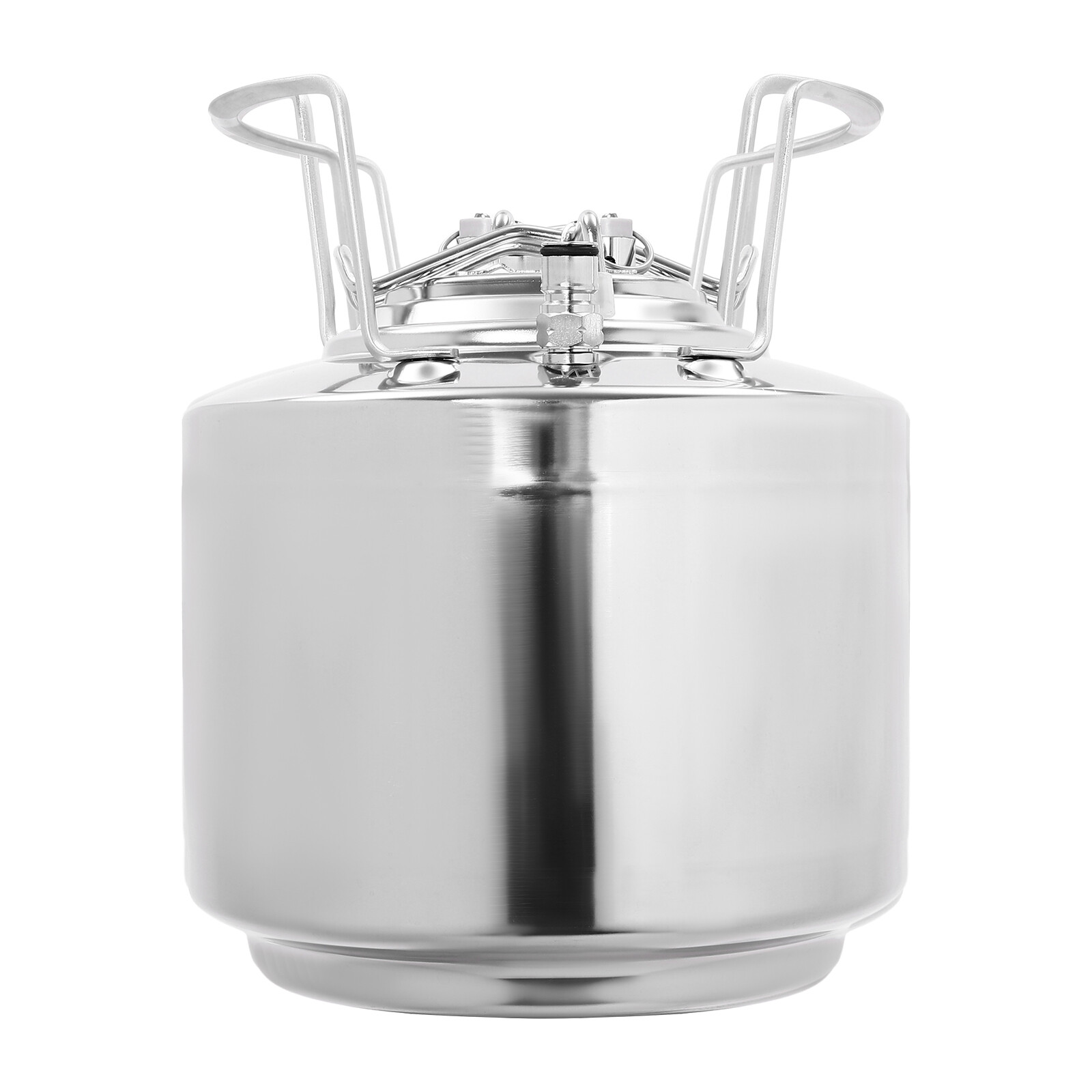 Stainless Steel 1.6 Gallon Mini Ball Lock Keg System For Small Batch HomeBrewing