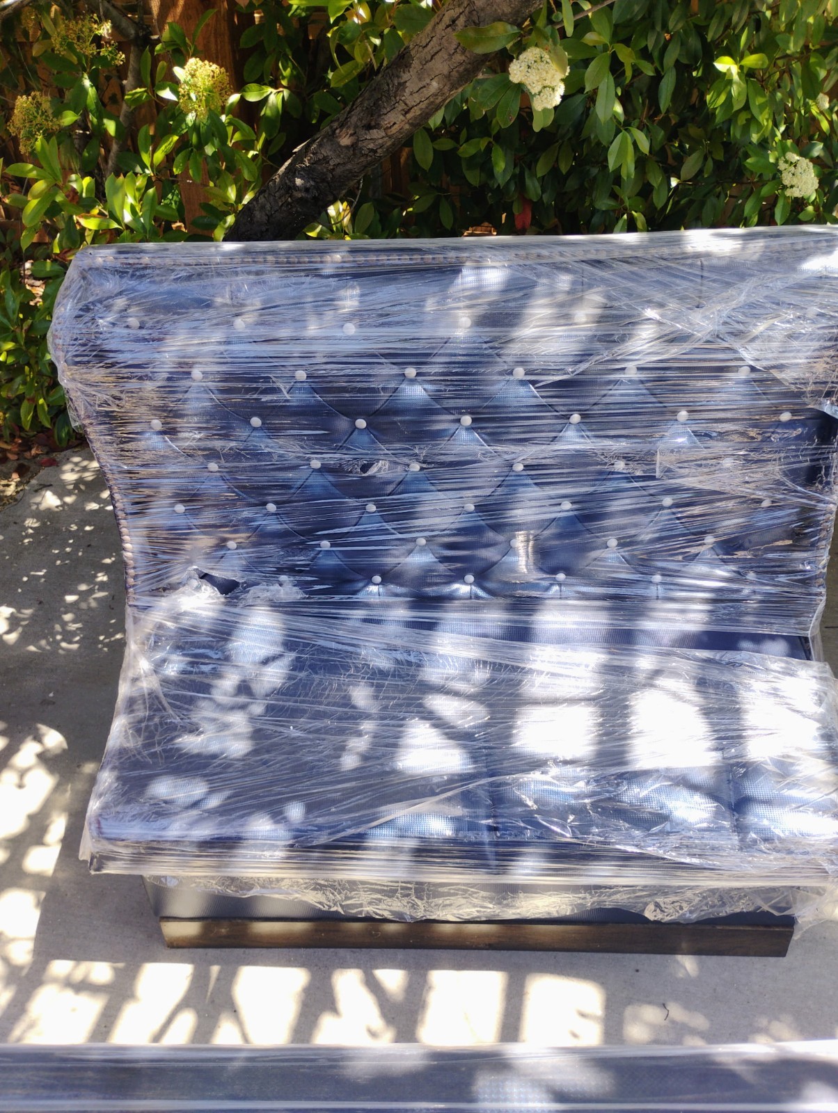 Dining chairs & Blue colored booth chairs (Used)